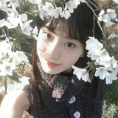 海龟们